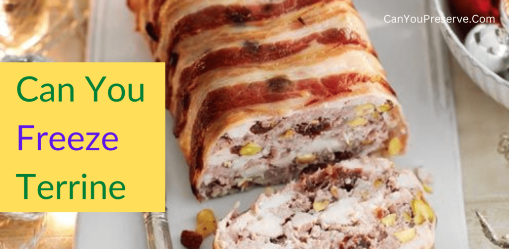 Can You Freeze Terrine? How To Guide To Freeze Terrine Can You Preserve