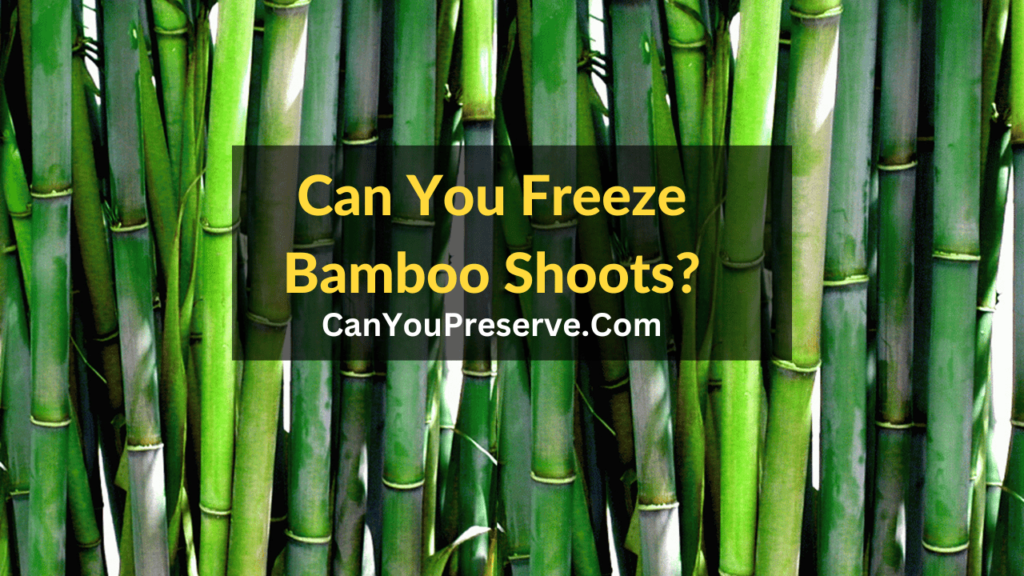 Can You Freeze Bamboo Shoots? Exploring the Freezing Technique for