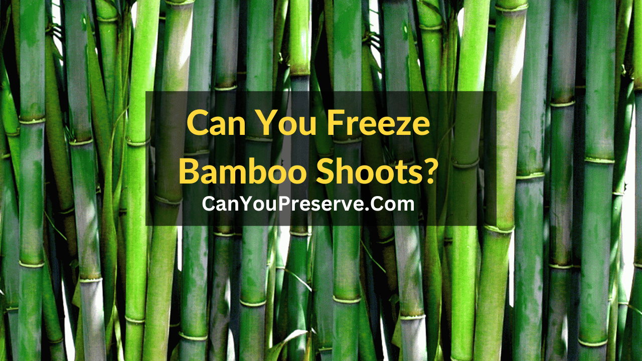 Can You Freeze Bamboo Shoots