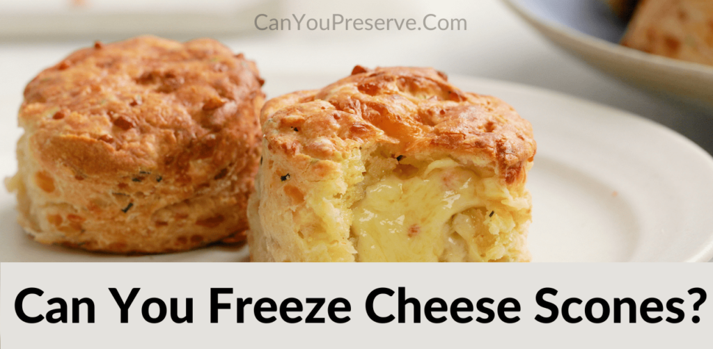 Can you Freeze Cheese Scones? How to Freeze & Defrost Cheese Scones