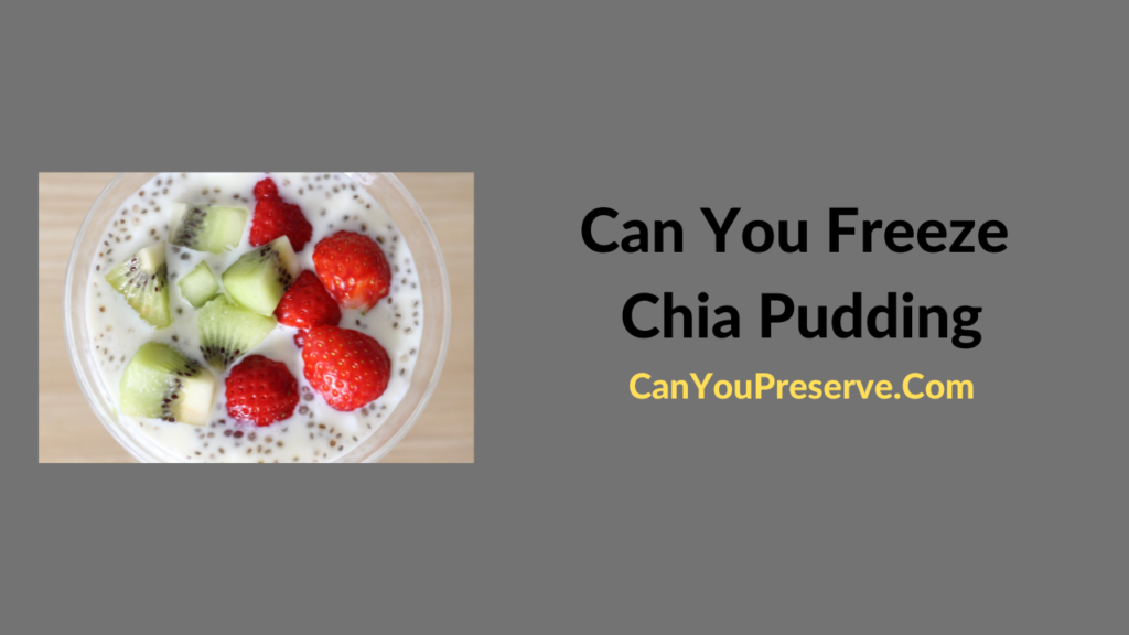 Can You Freeze Chia Pudding What Else You Should Know About Freezing
