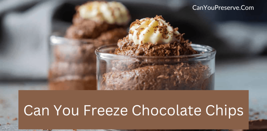 Can You Freeze Chocolate Chips? How To Store Chocolate Chips in the