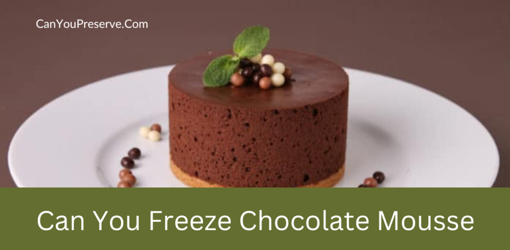 Can You Freeze Chocolate Mousse? How To Freeze Chocolate Mousse