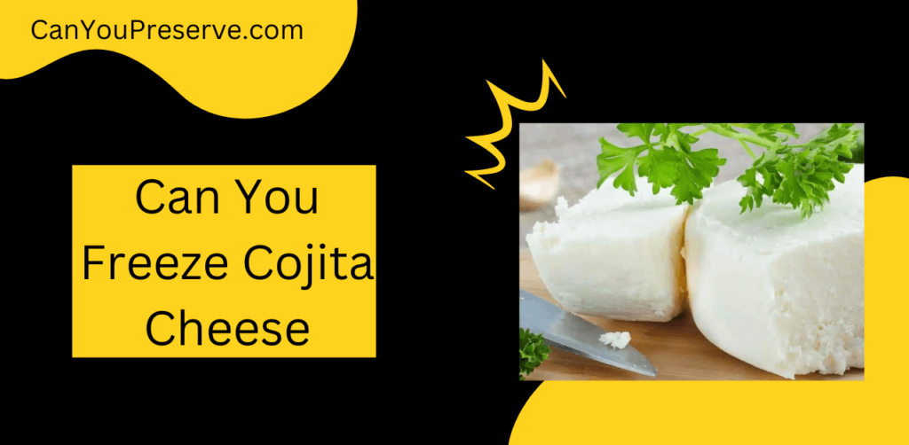 Can You Freeze Cotija Cheese? Detailed Guide on Freezing Cotija