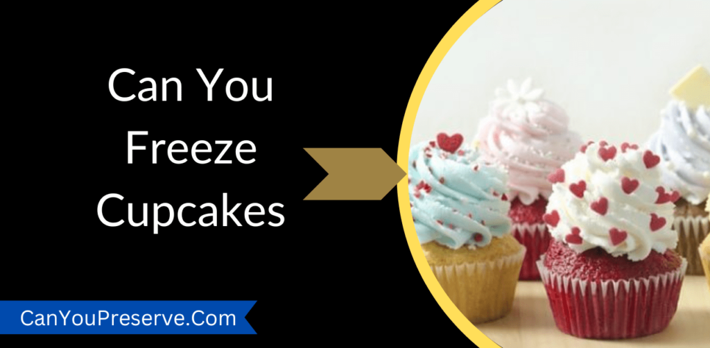 Can You Freeze Cupcakes? How to Store and Freeze Cupcakes? Can you
