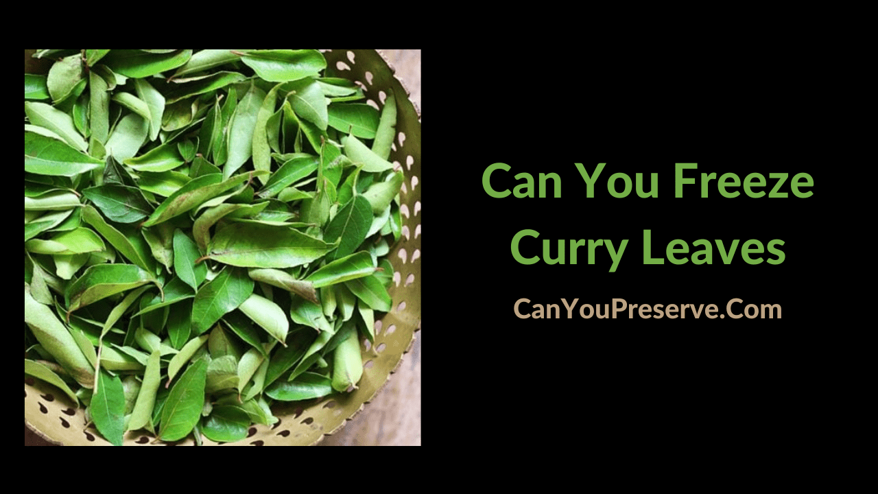 Can You Freeze Curry Leaves