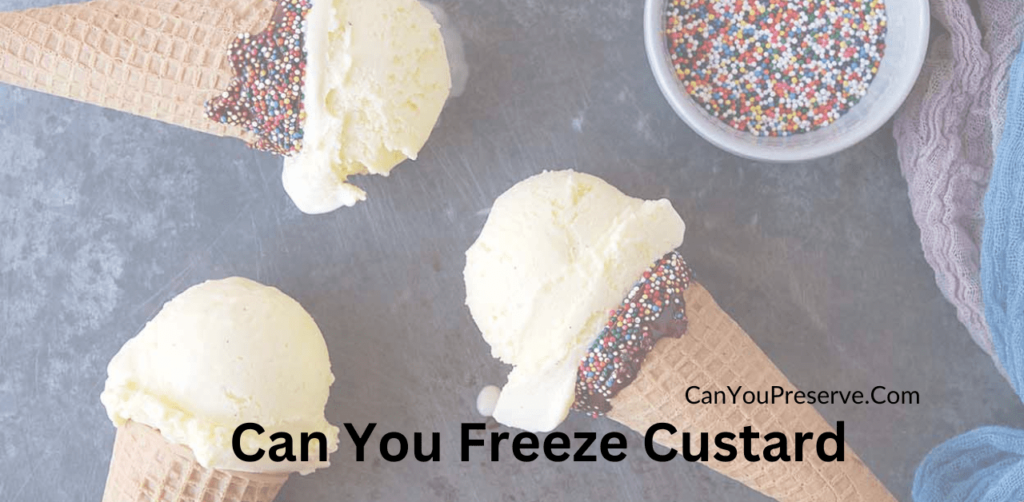 Can You Freeze Custard? How to Freeze & Store Custard? Benefits and