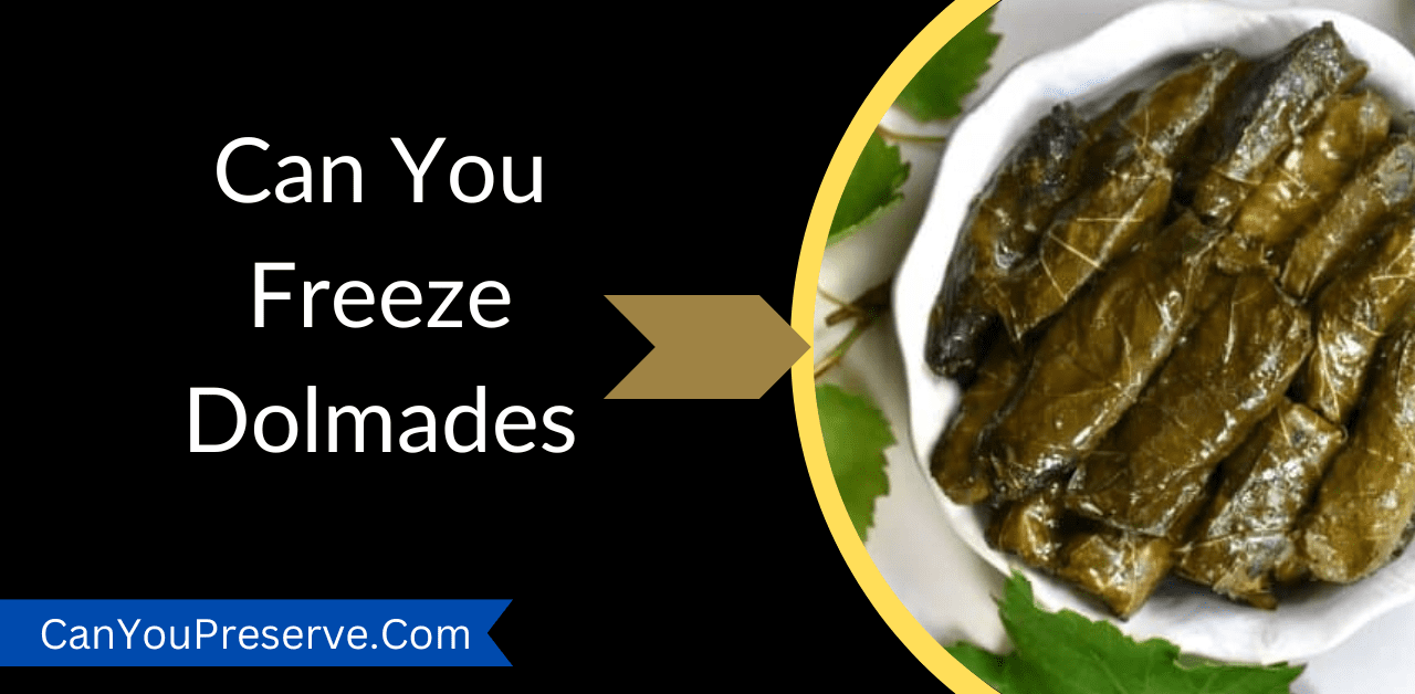 Can You Freeze Dolmades
