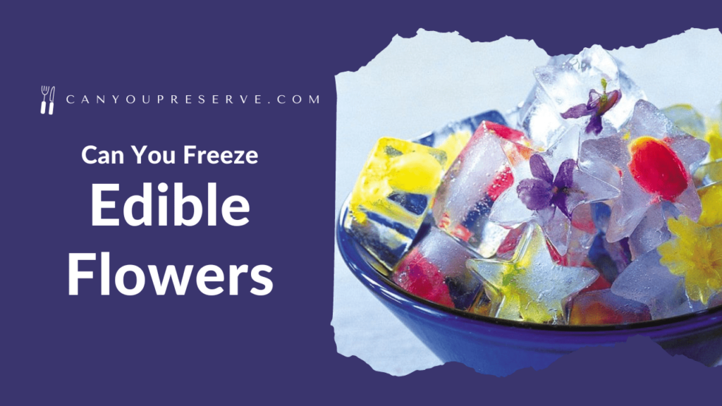 Can You Freeze Edible Flowers? How To Freeze Edible Flowers? Tips
