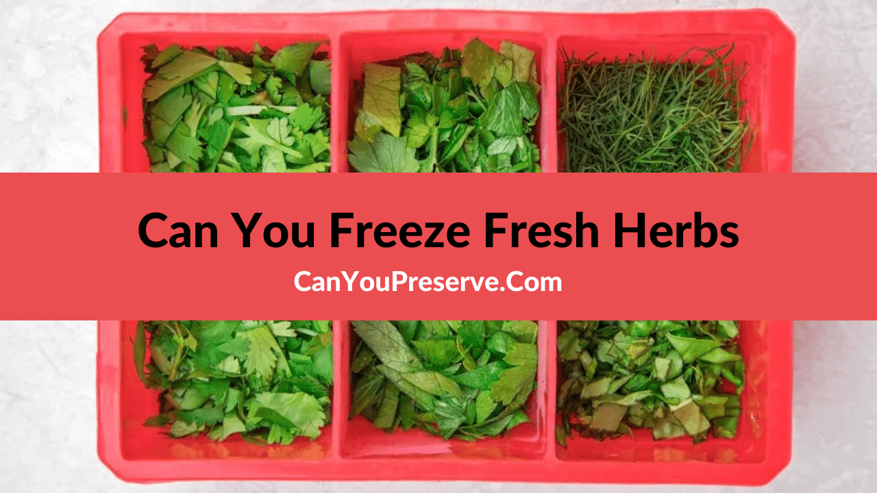 Can You Freeze Fresh Herbs