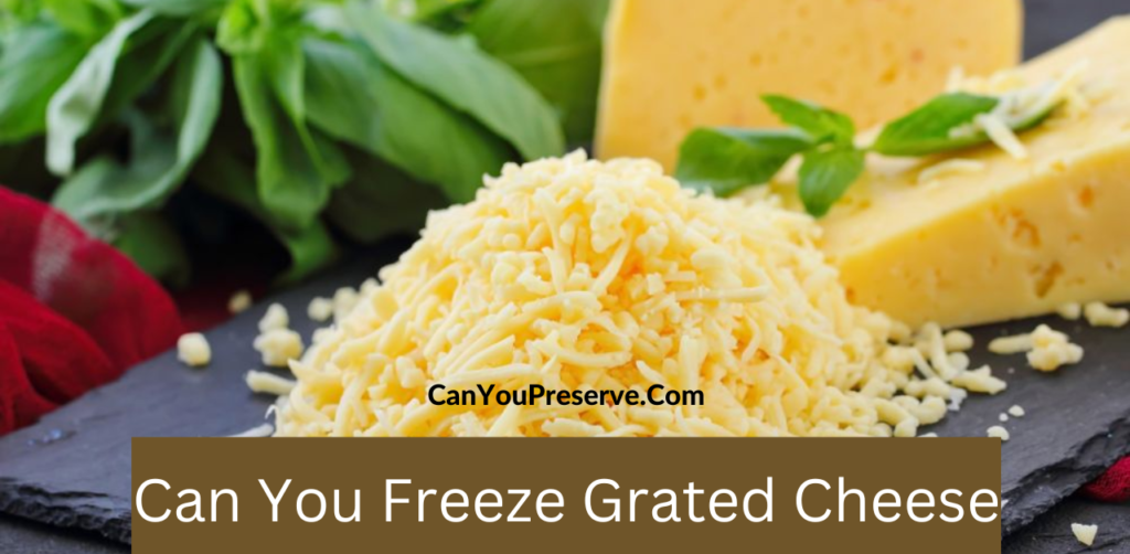 Can You Freeze Grated Cheese Ways to Freeze the Grated Cheese Tips for Freezing Cheese Can