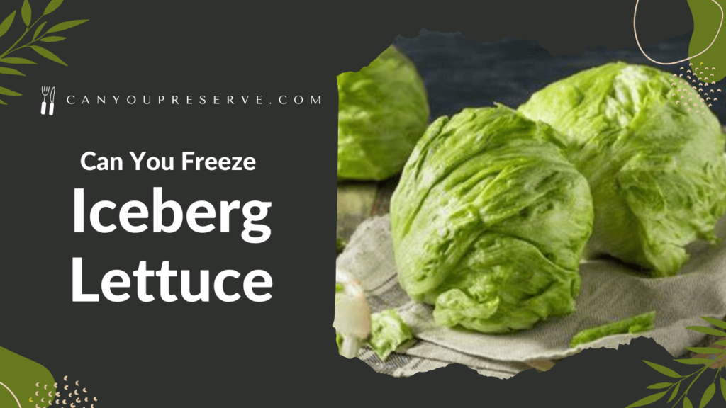 Can You Freeze Iceberg Lettuce? How To Freeze Iceberg Lettuce? How