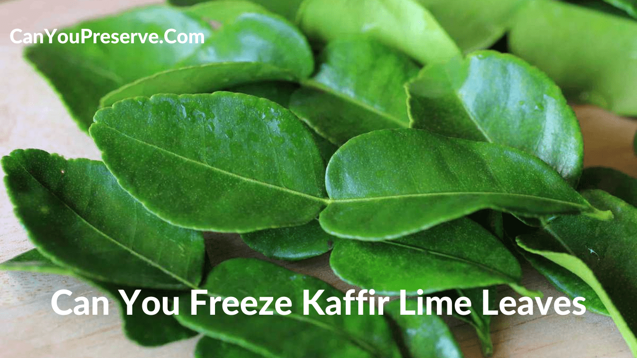 Can You Freeze Kaffir Lime Leaves