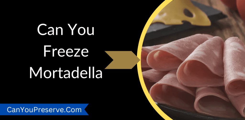 Can You Freeze Mortadella? (MustRead Tips) Dos and Don’ts of