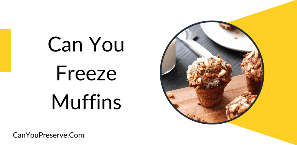 Can You Freeze Muffins? Tips & Tricks To Freeze Muffins Does Muffins Freeze Well? Can You