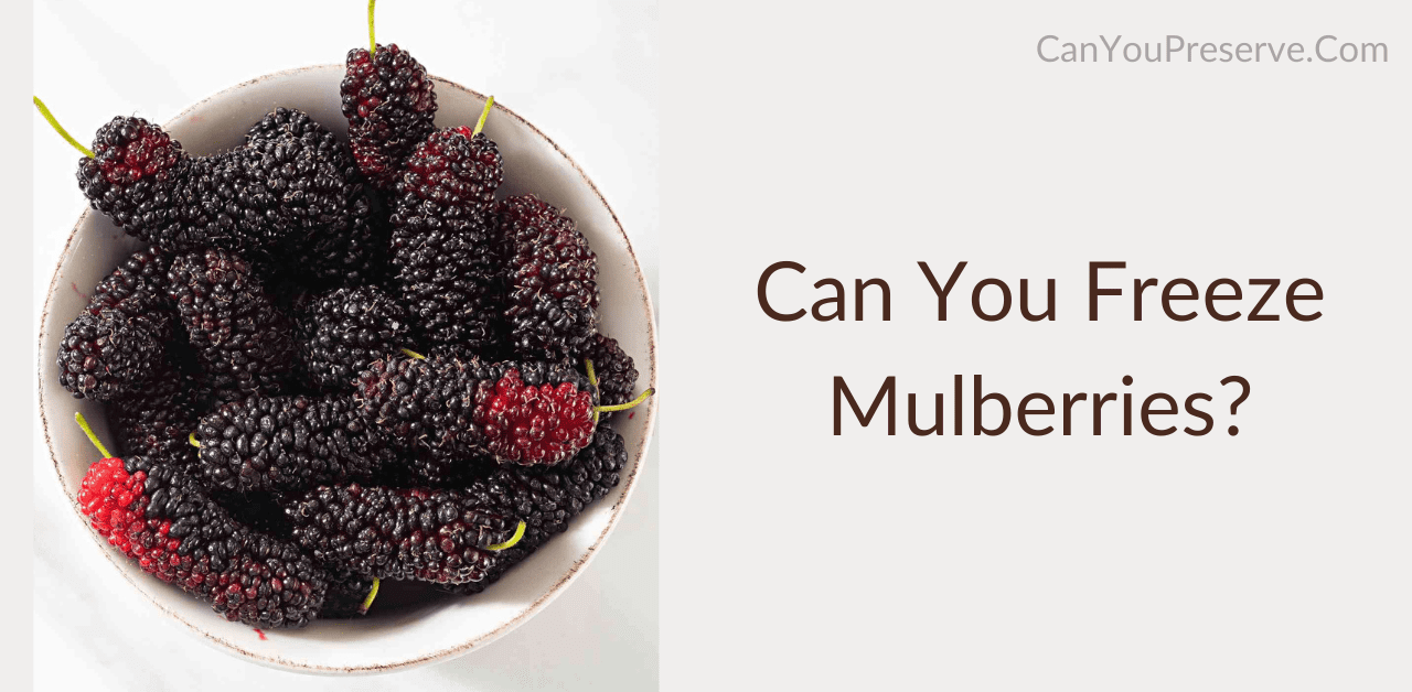 Can You Freeze Mulberries