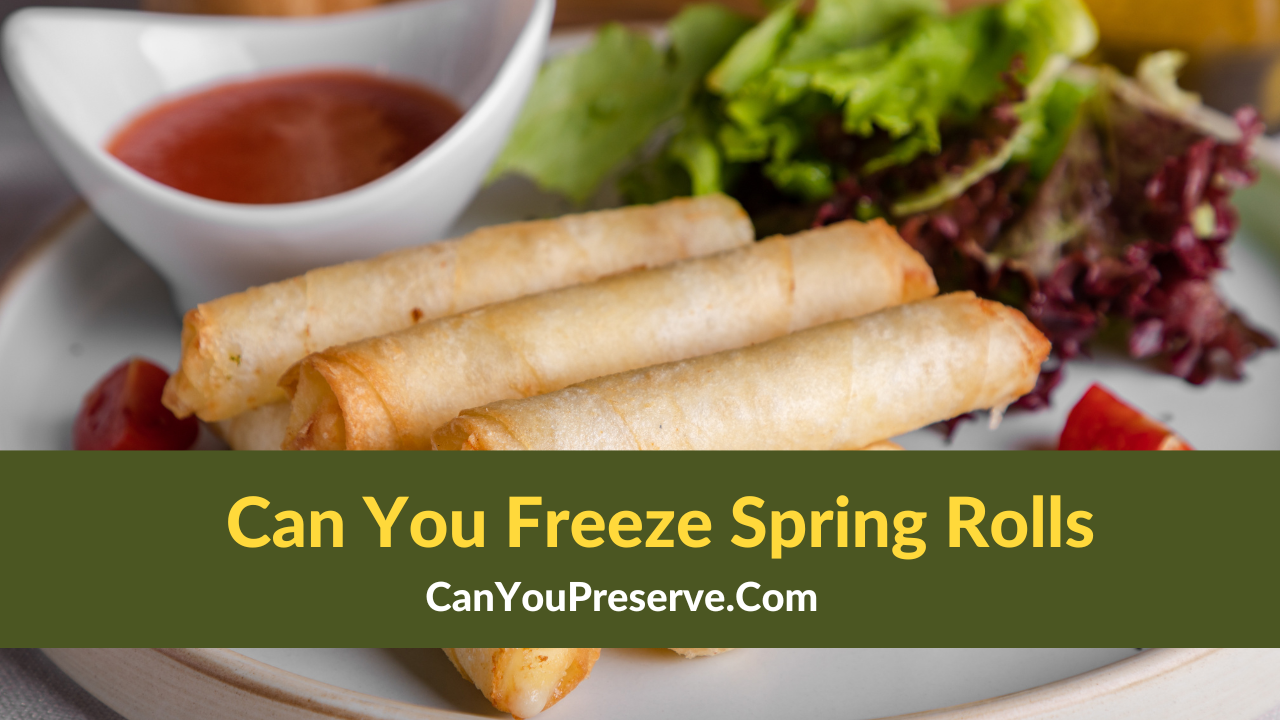 Can You Freeze Spring Rolls