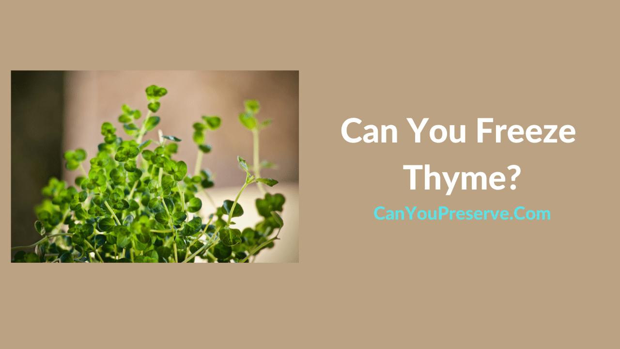 Can You Freeze Thyme