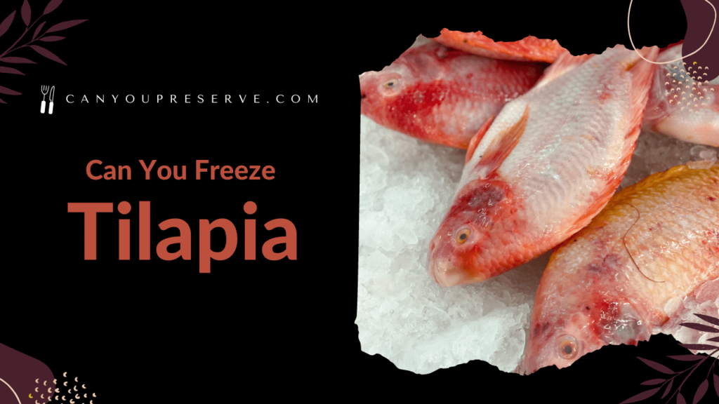 Can You Freeze Tilapia After Cooking? Steps to Freeze Tilapia Fish Guide to Defrost Tilapia