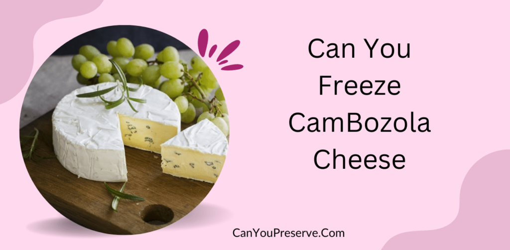 Can You Freeze Cambozola? How To Freeze & Defrost Cambozola Tips