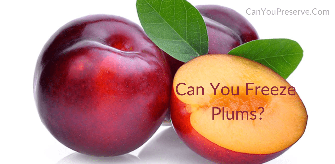 Can you Freeze Plums