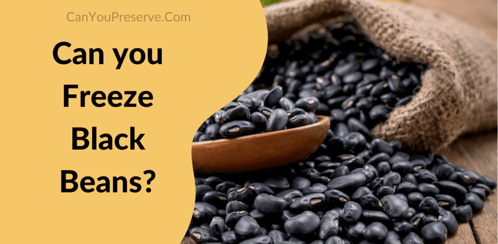 Can You Freeze Black Beans? Maximizing Shelf Life Guidelines for Freezing Black Beans Can