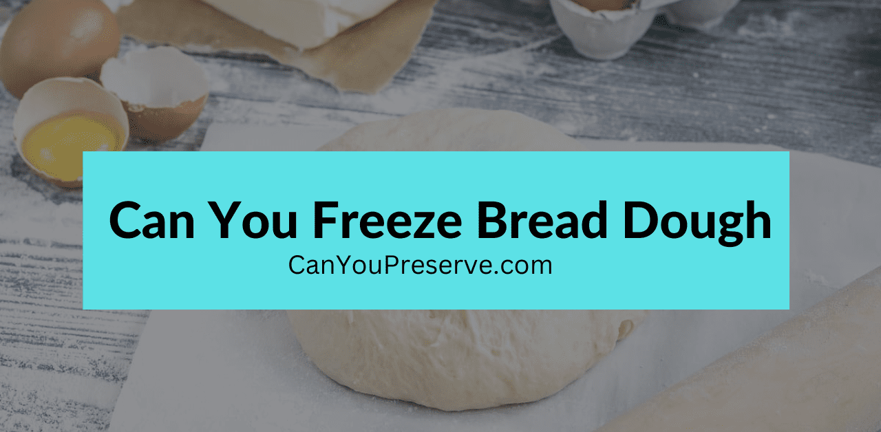 Can You Freeze Bread Dough