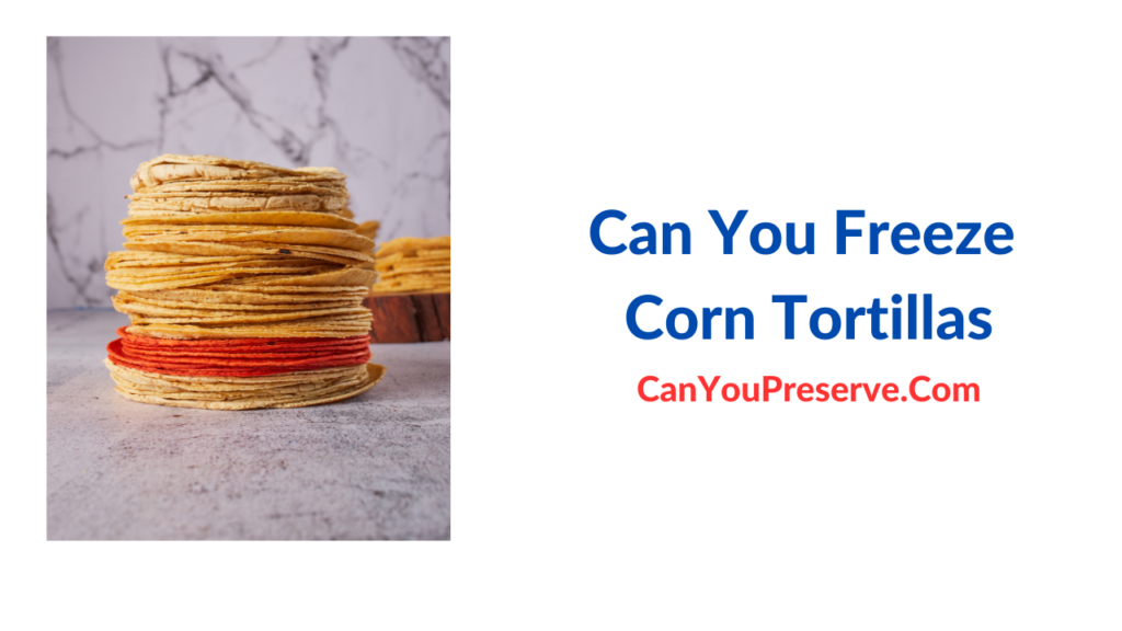 Can You Freeze Corn Tortillas? Preserving Perfection A Guide to