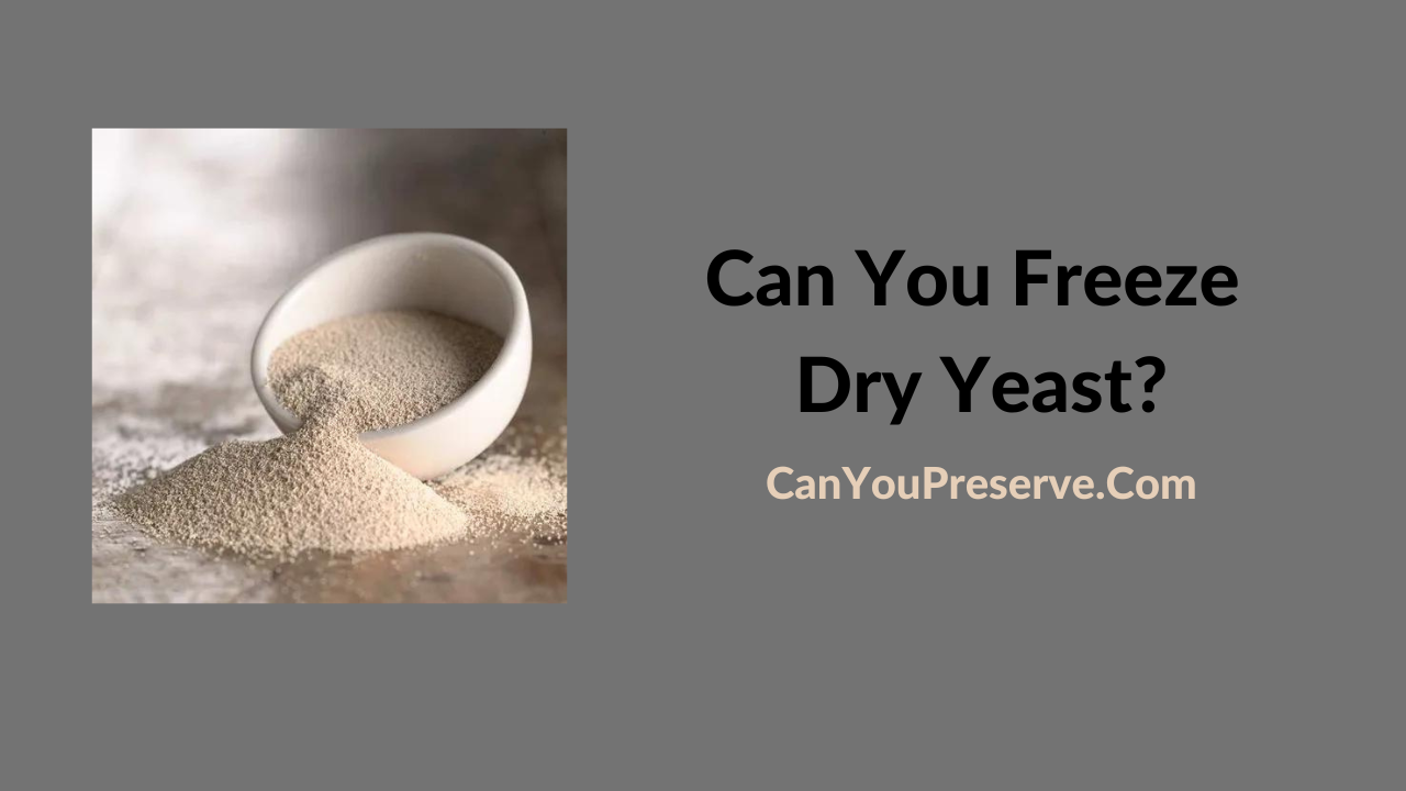 Can You Freeze Dry Yeast