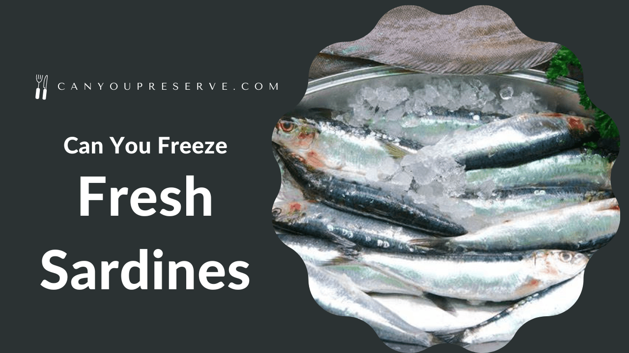 Can You Freeze Fresh Sardines