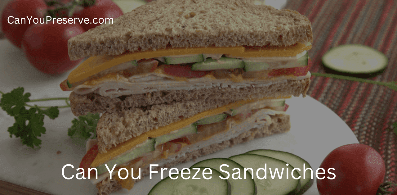 Can You Freeze Sandwiches