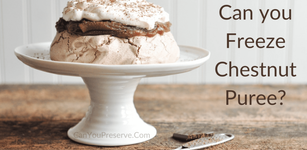 Can you Freeze Chestnut Puree? Easy Ways to Preserve Chestnut Puree