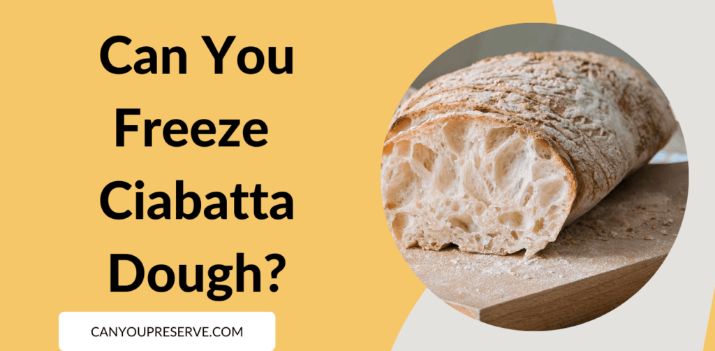 Can you Freeze Ciabatta Dough? Preserving Freshness A Guide to