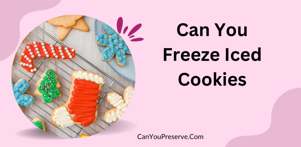 Can You Freeze Iced Cookies? How To Freeze Iced Cookies? Can You