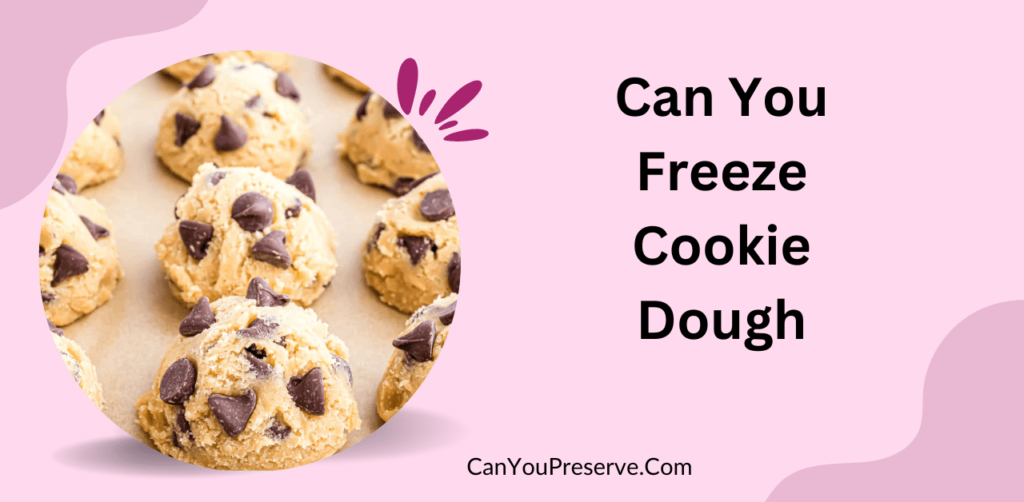 Can You Freeze Cookie Dough? How To Freeze & Defrost Cookie Dough? Tips & Tricks To Freeze