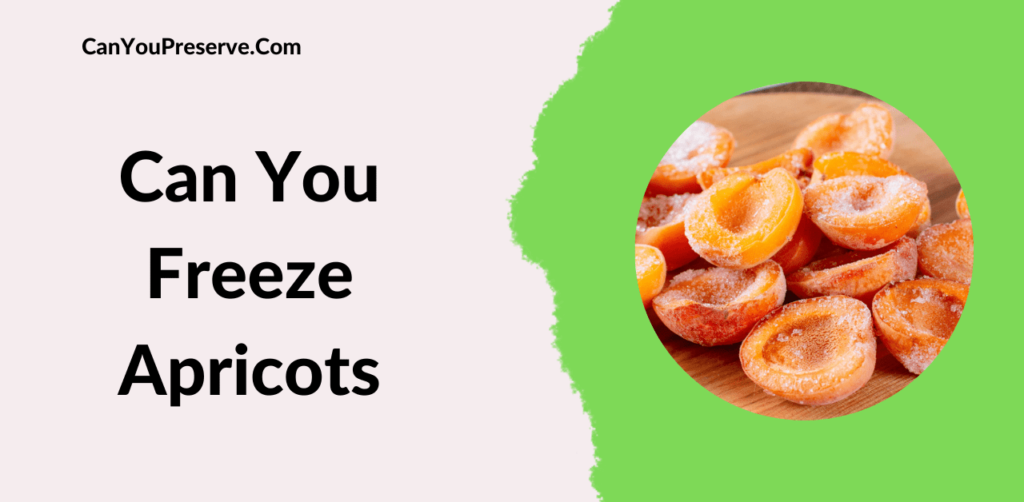 Can You Freeze Apricots? The Best Ways to Freeze Apricots for Maximum
