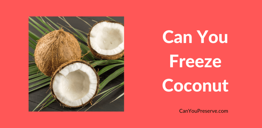 Can You Freeze Coconut? The Ultimate Guide to Freezing Coconut Tips