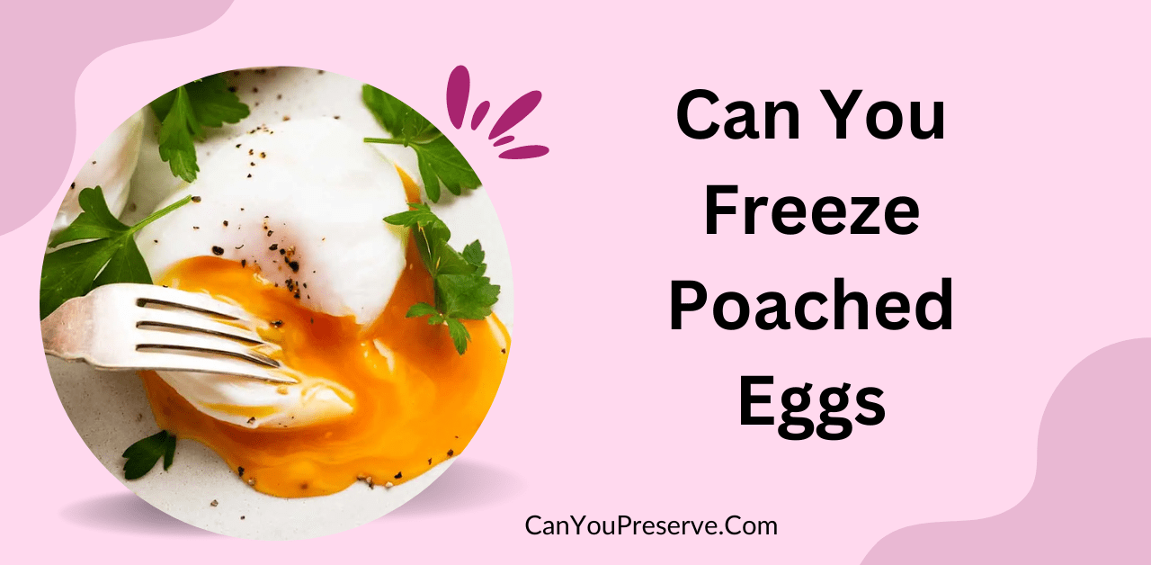 Can You Freeze Poached Eggs