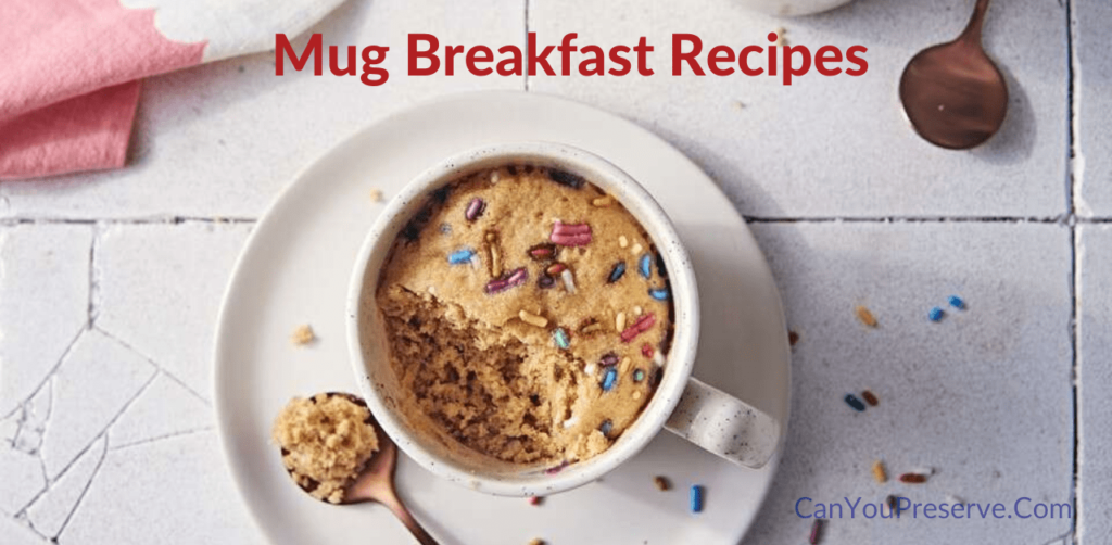 Best Mug Breakfast Recipes To Try At Home Healthy Breakfast in a Mug
